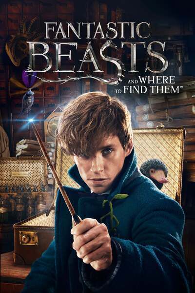 Fantastic Beasts and Where to Find Them Hindi Dubbed Movie Poster (2016)