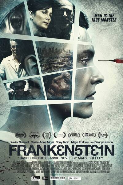 Frankenstein Hindi Dubbed Movie Poster (2015)