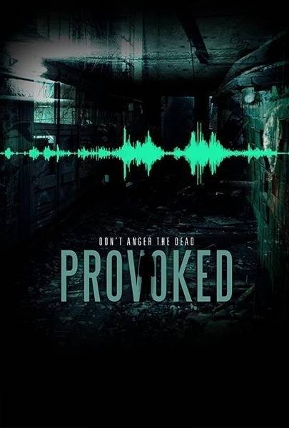 Provoked Hindi Dubbed Movie Poster (2016)