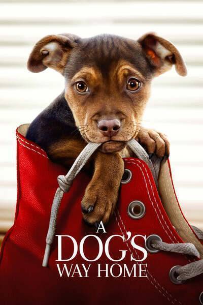 A Dog's Way Home Hindi Dubbed Movie Poster (2019)