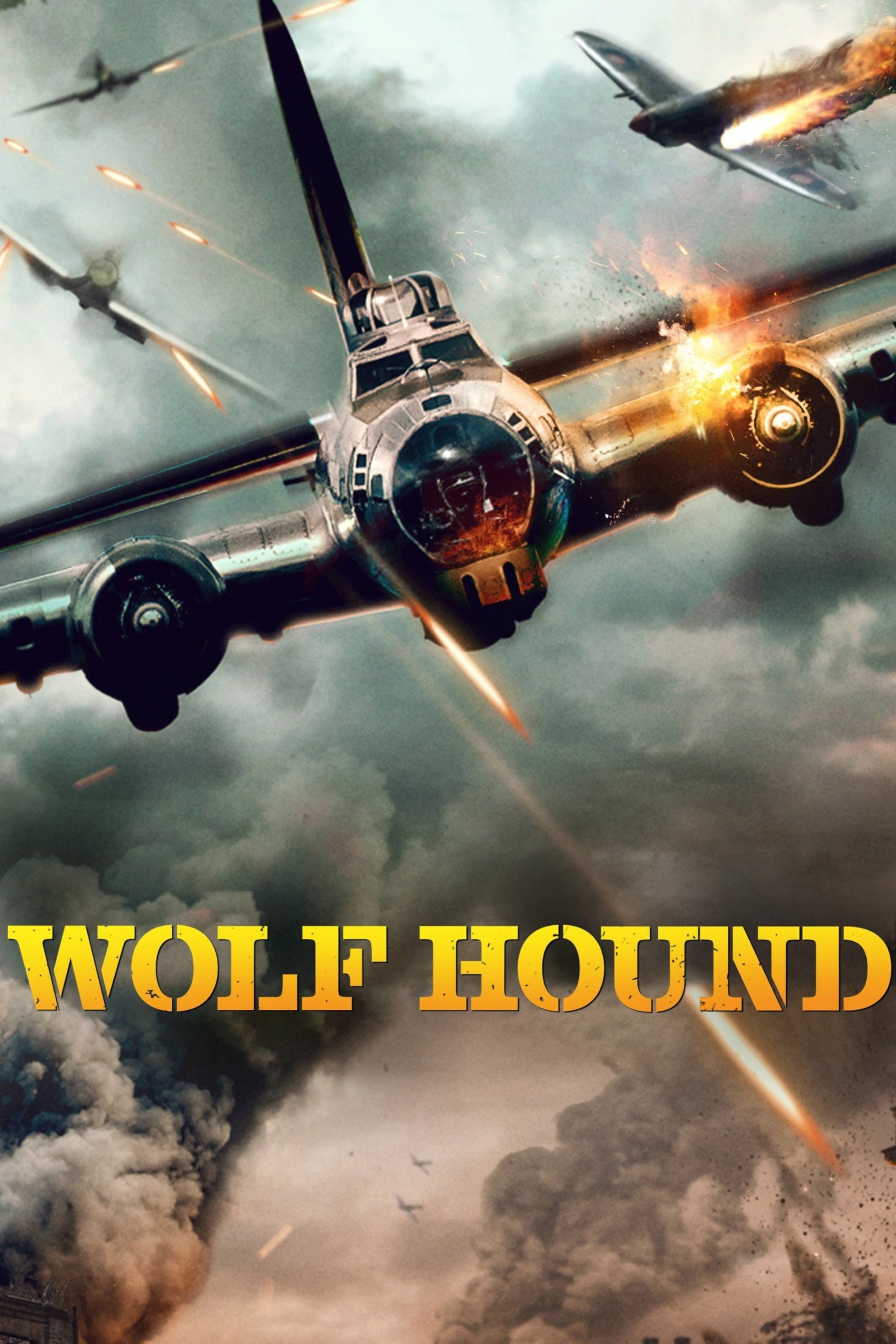 Wolf Hound Hindi Dubbed Movie Poster (2022)