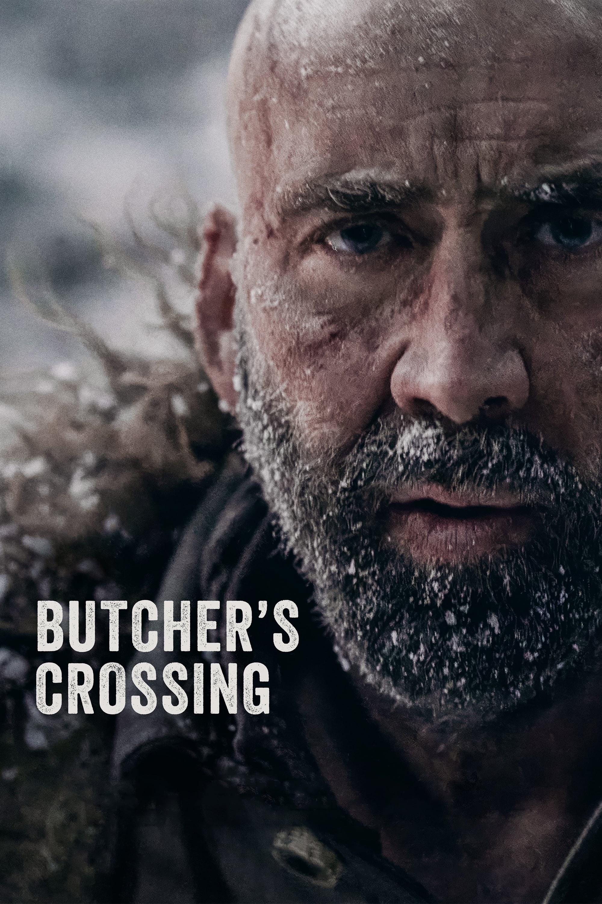 Butcher's Crossing Hindi Dubbed Movie Poster (2023)