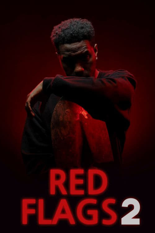 Red Flags 2 Hindi Dubbed Movie Poster (2023)