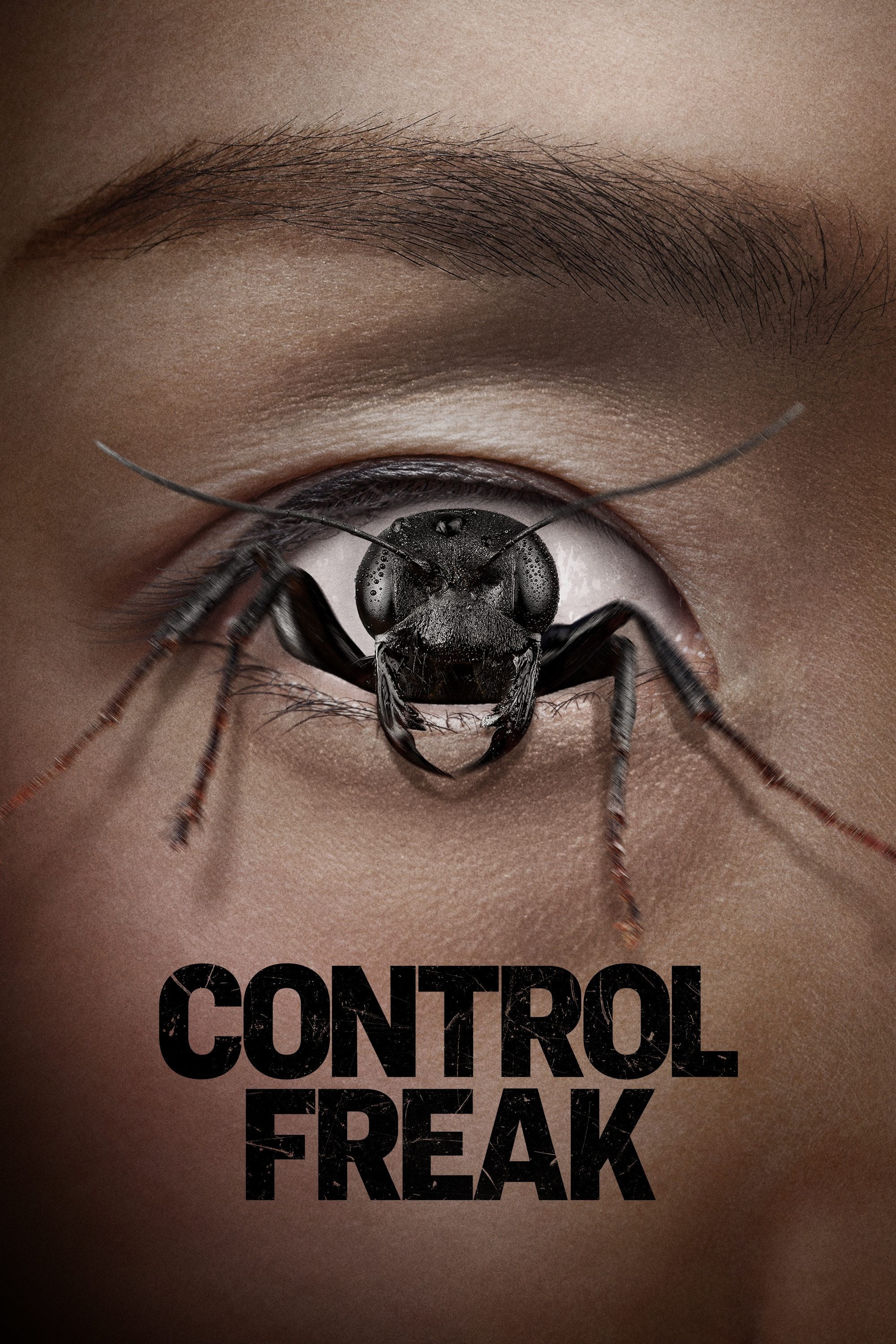Control Freak Hindi Dubbed Movie Poster (2025)