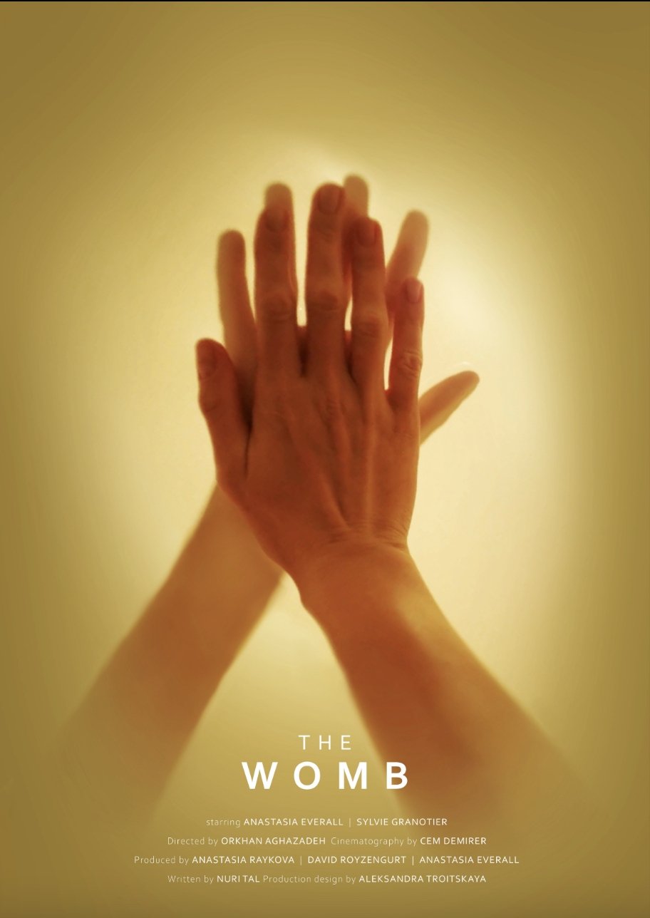 The Womb Hindi Dubbed Movie Poster (2024)