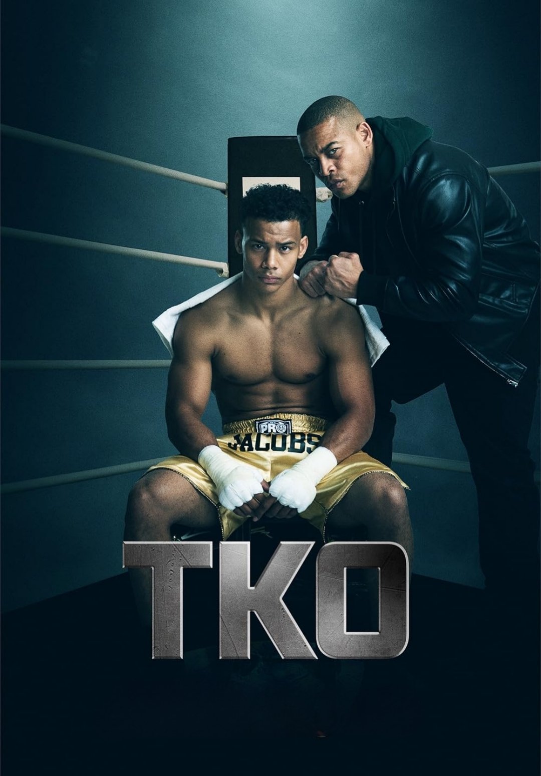 TKO Hindi Dubbed Movie Poster (2025)