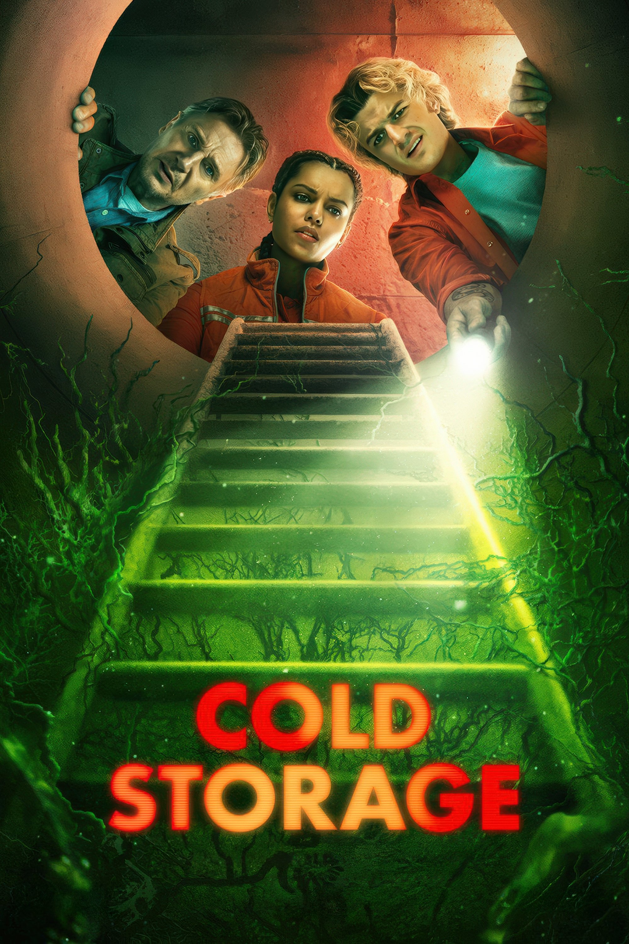 Cold Storage Hindi Dubbed Movie Poster (2026)